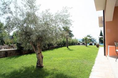 My-Summerlodge-Cherry