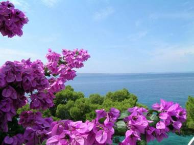 Apartments Milica - sea view