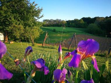 House for rest and fun JEKA