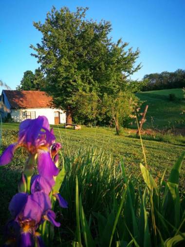 House for rest and fun JEKA