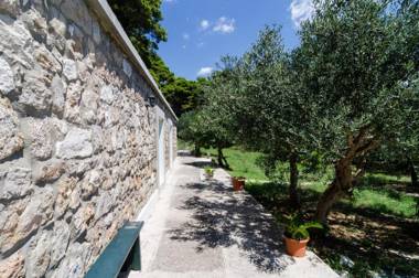 Apartments & Rooms Tapera