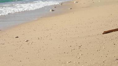 Luxury Seafront Apartment Banje