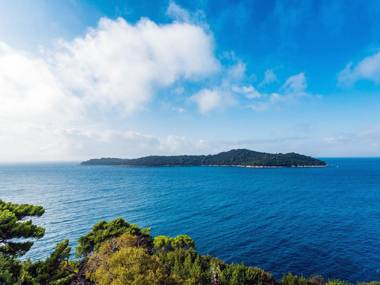 Modern apartment with perfect view to Dubrovnik Old town in authentical house