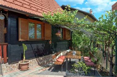 Family friendly house with a parking space Oroslavje Zagorje - 19236