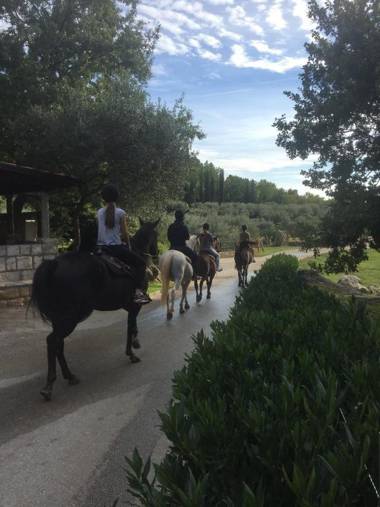 Fisherman's Guest house Galeb