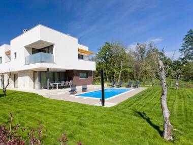 Luxurious Villa Novigrad with Swimming Pool