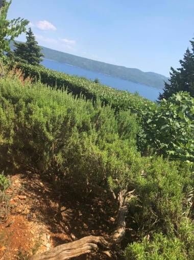 Holiday Home Sea view