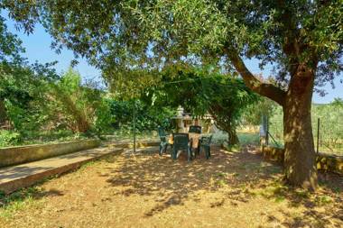 Apartments Dracice 1019