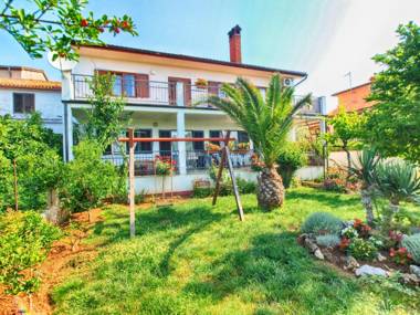 Apartment Patricija 1208