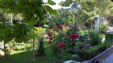 Ferienwohnung-Ginkgo-A3