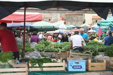 Pinna Nobilis Apartments