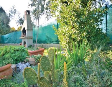 Apartments Mare -with parking