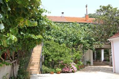 Apartments with a parking space Bibinje Zadar - 18843