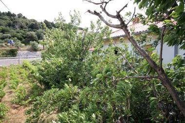 Apartments Ivans - with parking