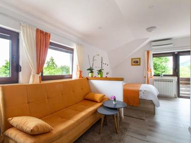 Boutique Apartment in Selište Drežnićko with Garden