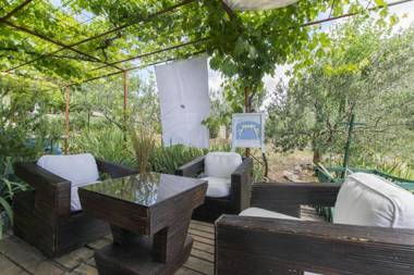 House Green Paradise