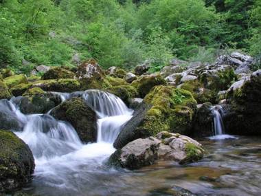 Laura in Drežnica - Haus für 4-6 Personen