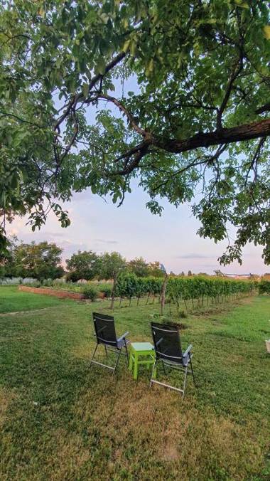 Sobe Kod Baje - Baranjska Kuća