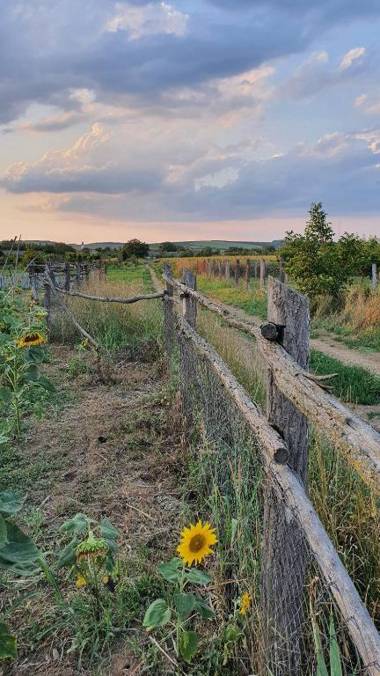 Sobe Kod Baje - Baranjska Kuća