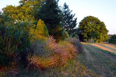 Golden Valley apartment & ranch