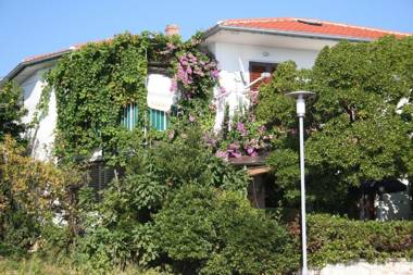 Apartments Petar - 6m from the sea