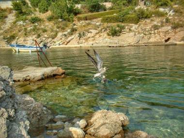 Apartment Šiki - 100m from sea