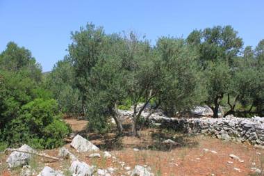 Holiday home Nature park