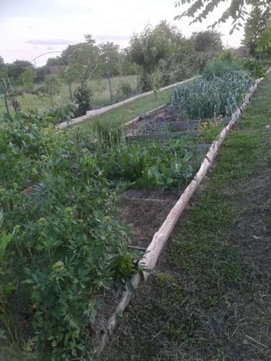 Ruralna kuća za odmor Pozojova hiža - Rural Holiday House