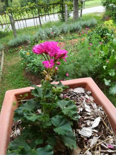 Ruralna kuća za odmor Pozojova hiža - Rural Holiday House