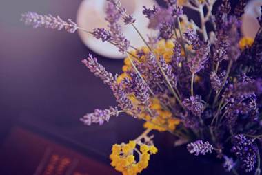 Villas Sv. Lovrec by Istarski Dvori