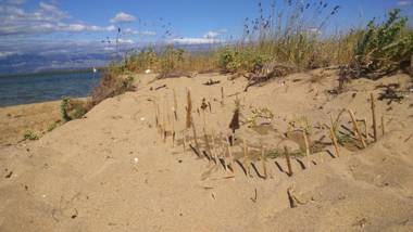 Apartments Ninske Vodice