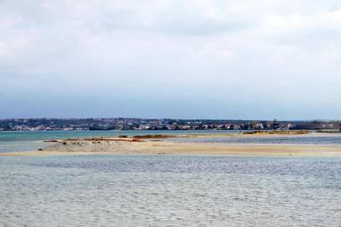 Apartments and rooms with parking space Nin Zadar - 5805