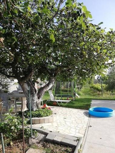 Apartment Ljilja - 250m from beach