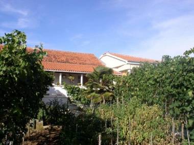 Apartments Kuzma - afordable