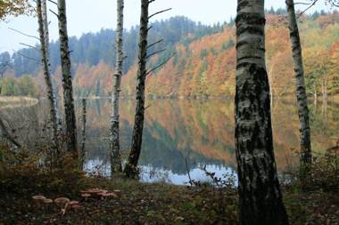 APARTMENT GORDANA A4+2 FOR 6 PAX NATURE PARK