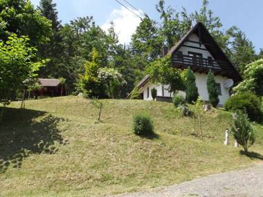 Detached house at 100m distance of the lake surrounded by beautiful nature and with BBQ  