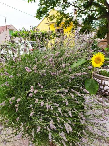 Holiday Home Krasica