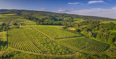 Robinson Vila Kitokret