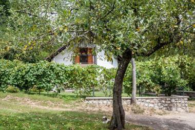 Holiday house Kajfes