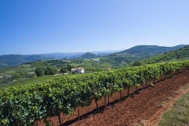 Villa Fiore Spinovci