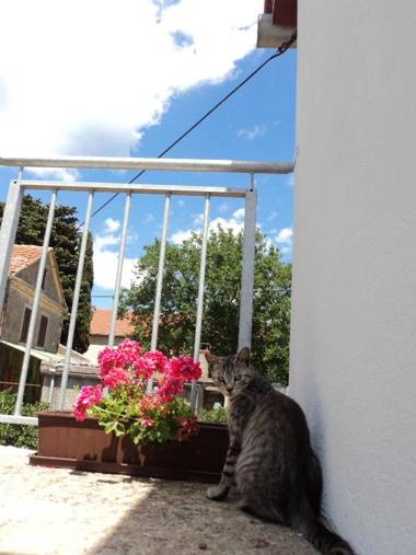 Apartment Lordanic Zaglav Dugi otok