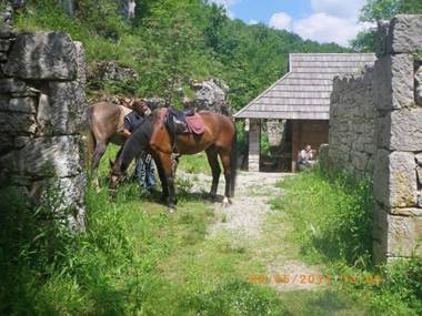 Dvori Stipanovi with heated pool