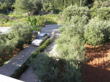 Apartments Zlatko - 100m from sea