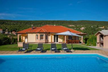 Villa Six Brothers a luxury villa in Imotski pool