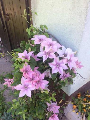 Holiday Home Mađerka