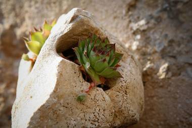 Stone House Marasovic