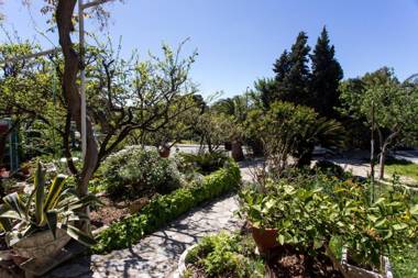 Apartments Djurkovic