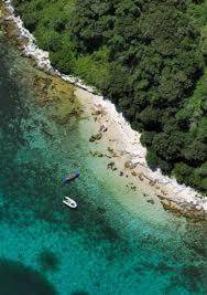 Apartments Villa Falcon