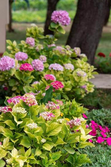 M & A Valbandon Fažana