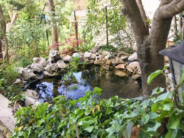 Apartments and Room Mirjana